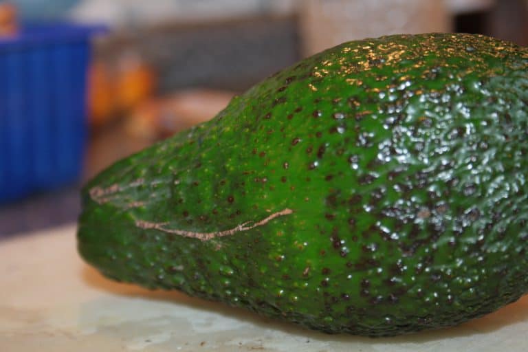 Kuskus s brokolicí, žampiony a domácím pestem