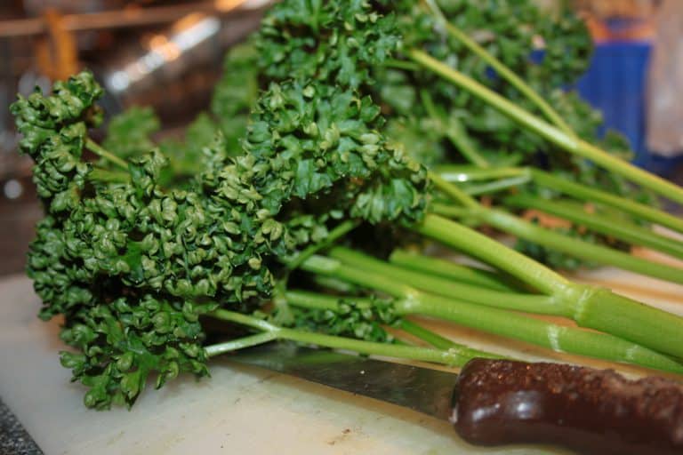 Kuskus s brokolicí, žampiony a domácím pestem