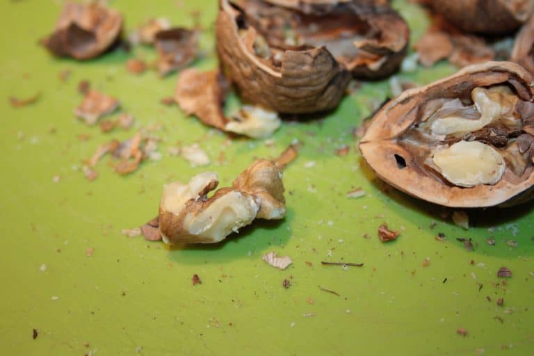 Kuskus s brokolicí, žampiony a domácím pestem