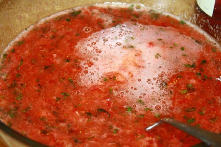 Dortík z jahodového sorbetu a limetové pěny