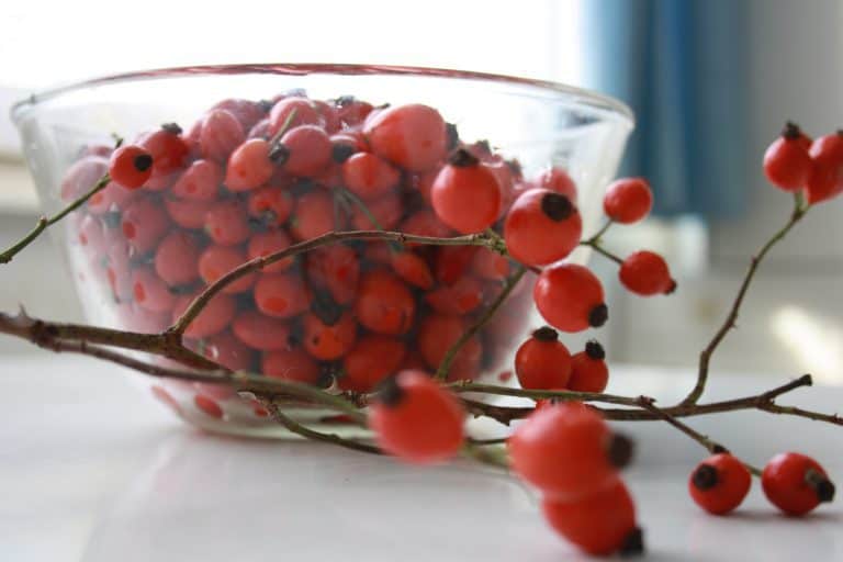 Šípková marmeláda s hřebíčkem