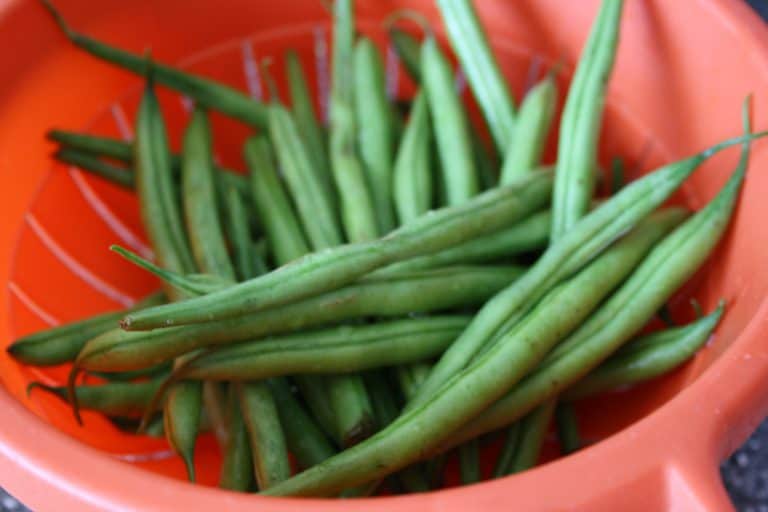 Pórková polévka s pikantními fazolkami a houbami Shiitake