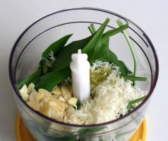 Pesto z medvědího česneku s mandlemi