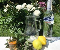 Citronovo-mátová limonáda