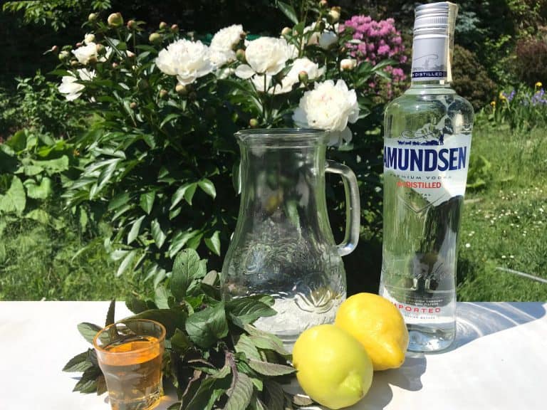 Citronovo-mátová limonáda