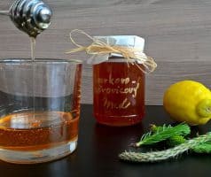 Domácí smrkovo-borovicový med z mladých výhonků