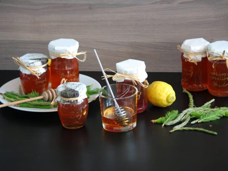 Domácí smrkovo-borovicový med z mladých výhonků