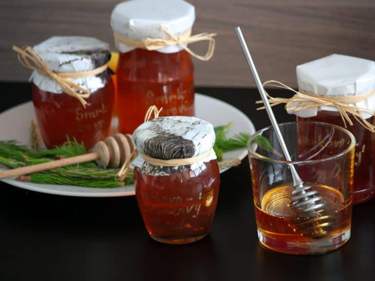 Domácí smrkovo-borovicový med z mladých výhonků