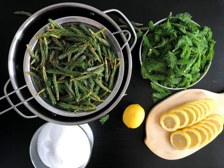 Domácí smrkovo-borovicový med z mladých výhonků