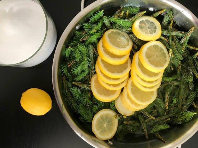 Domácí smrkovo-borovicový med z mladých výhonků