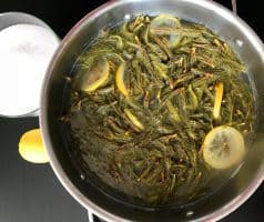 Domácí smrkovo-borovicový med z mladých výhonků