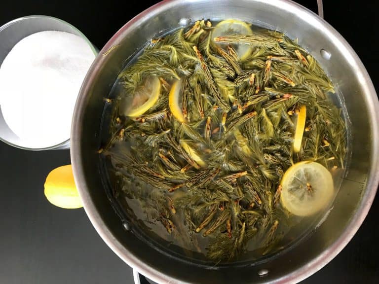 Domácí smrkovo-borovicový med z mladých výhonků