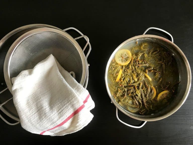 Domácí smrkovo-borovicový med z mladých výhonků