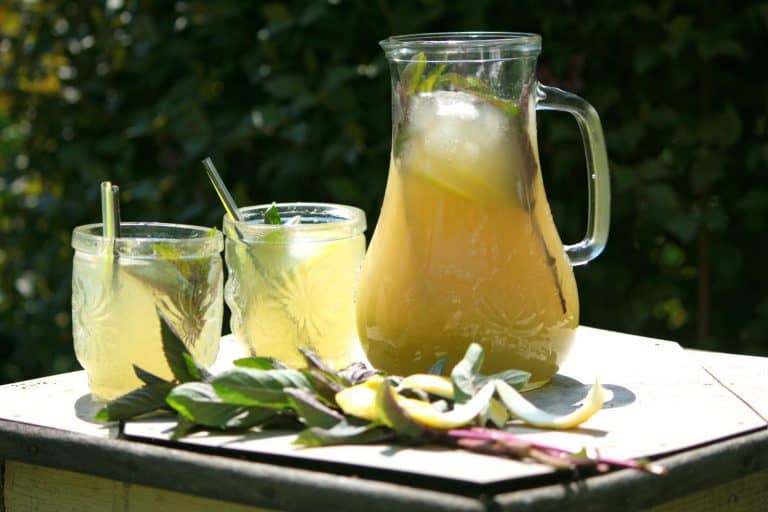 Citronovo-mátová limonáda
