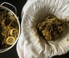 Domácí smrkovo-borovicový med z mladých výhonků