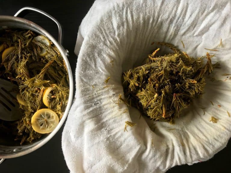 Domácí smrkovo-borovicový med z mladých výhonků