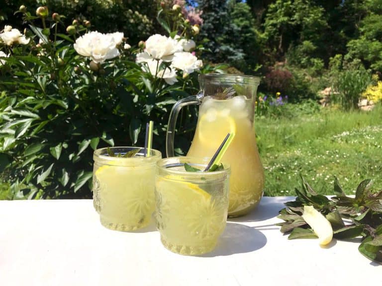 Citronovo-mátová limonáda