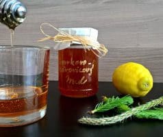Domácí smrkovo-borovicový med z mladých výhonků
