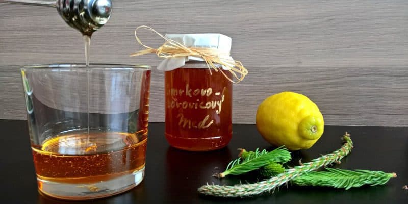 Domácí smrkovo-borovicový med z mladých výhonků
