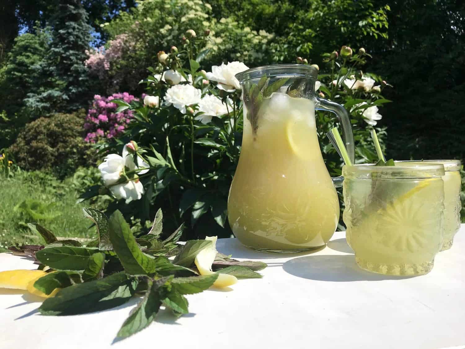 Citronovo-mátová limonáda