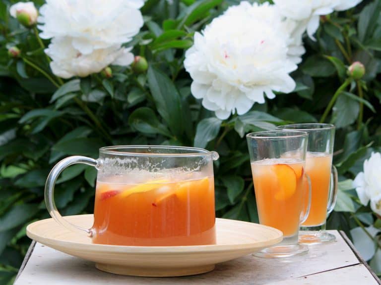 Osvěžující domácí ledový čaj s broskvemi