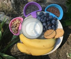 Borůvková smoothie bowl s jogurtem