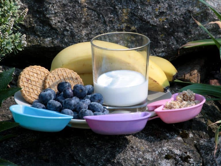 Borůvková smoothie bowl s jogurtem