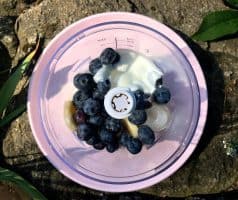 Borůvková smoothie bowl s jogurtem