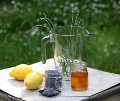 Levandulová limonáda (s medem a šampaňským)