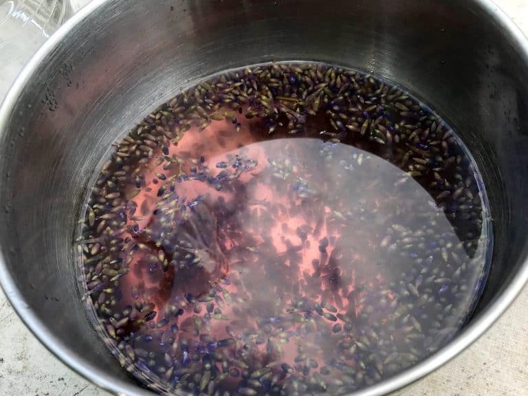 Levandulová limonáda (s medem a šampaňským)