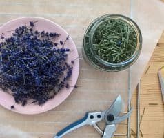 Domácí levandulový sirup na přípravu limonády