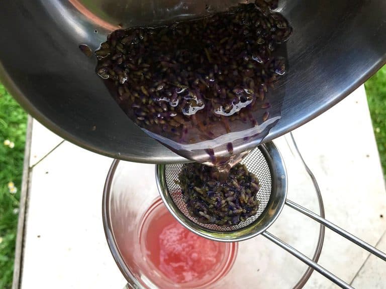 Levandulová limonáda (s medem a šampaňským)