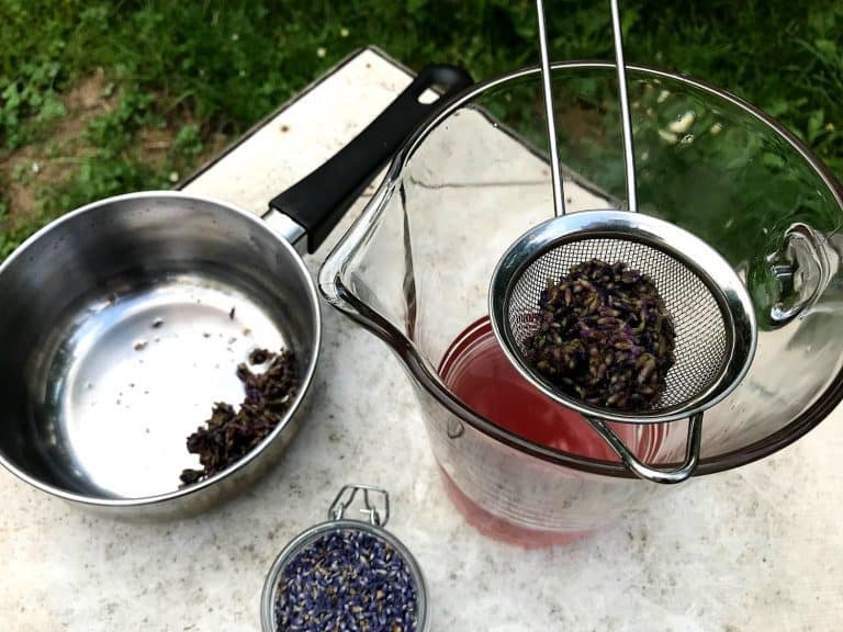 Levandulová limonáda (s medem a šampaňským)