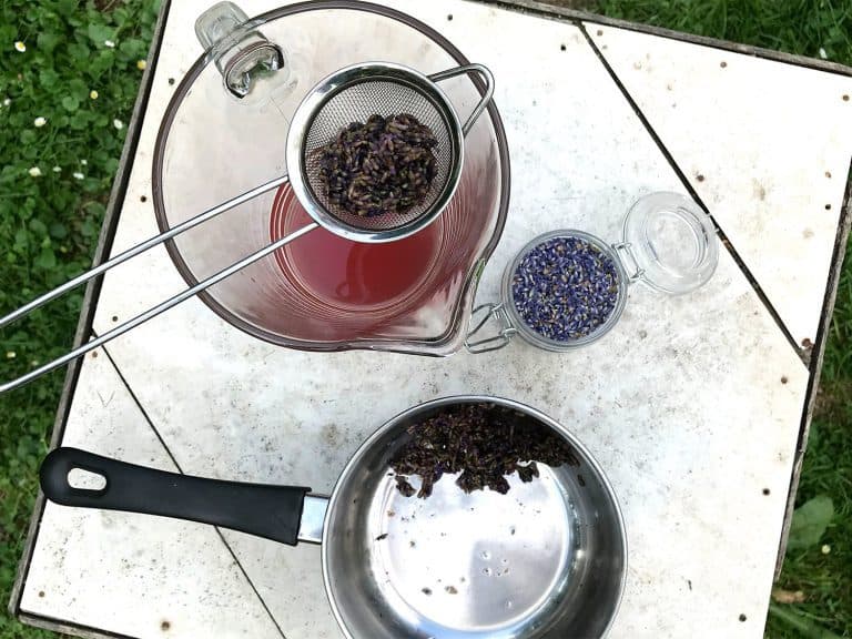 Levandulová limonáda (s medem a šampaňským)