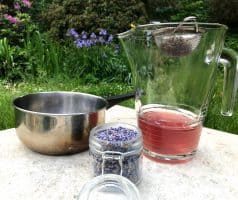 Levandulová limonáda (s medem a šampaňským)