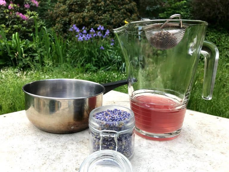 Levandulová limonáda (s medem a šampaňským)