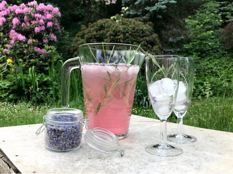 Levandulová limonáda (s medem a šampaňským)