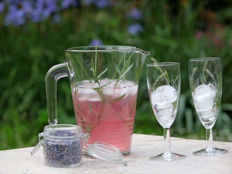 Levandulová limonáda (s medem a šampaňským)