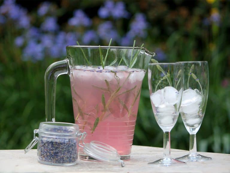 Levandulová limonáda (s medem a šampaňským)