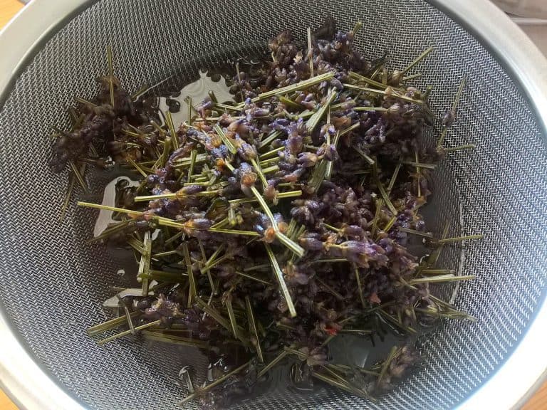 Domácí levandulový sirup na přípravu limonády