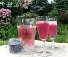 Levandulová limonáda (s medem a šampaňským)