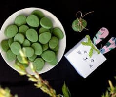 Velikonoční matcha a vanilkové sušenky