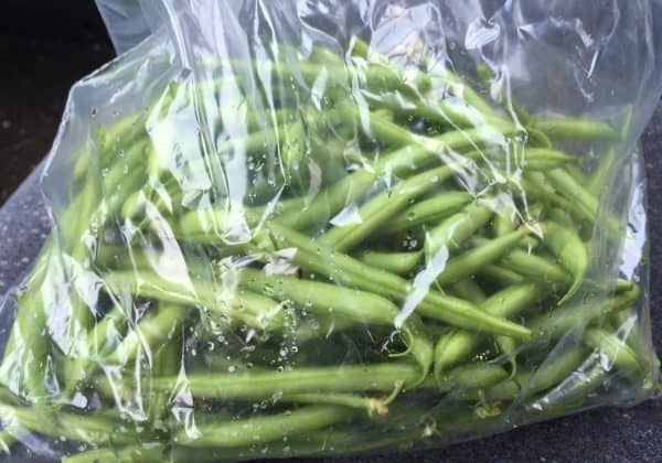 Zelené fazolky můžete zamrazit čerstvé nebo blanšírované
