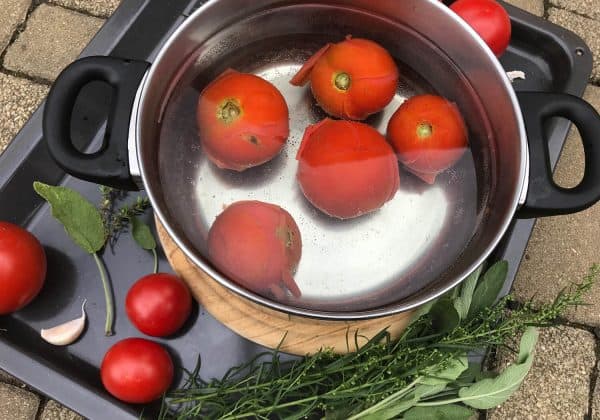 Spaření rajčat v horké vodě