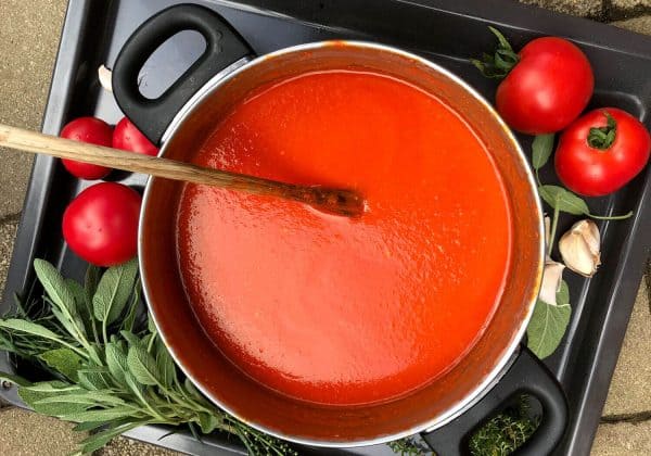 Rajská omáčka z čerstvých rajčat