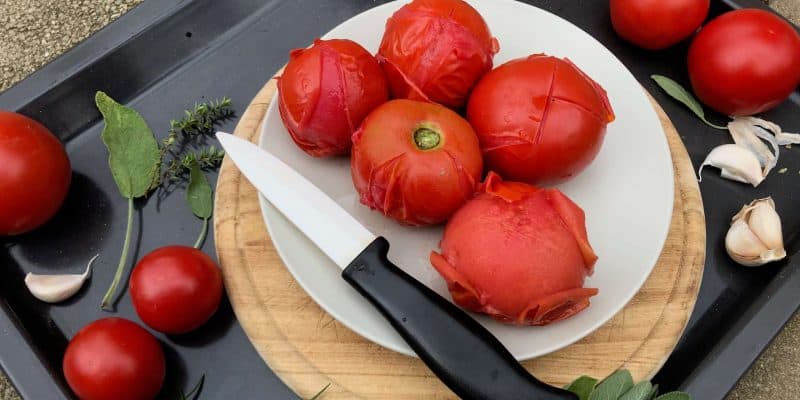 Jak oloupat rajčata