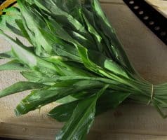 Pomazánka z medvědího česneku